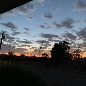 Meet your Posher, Sidney